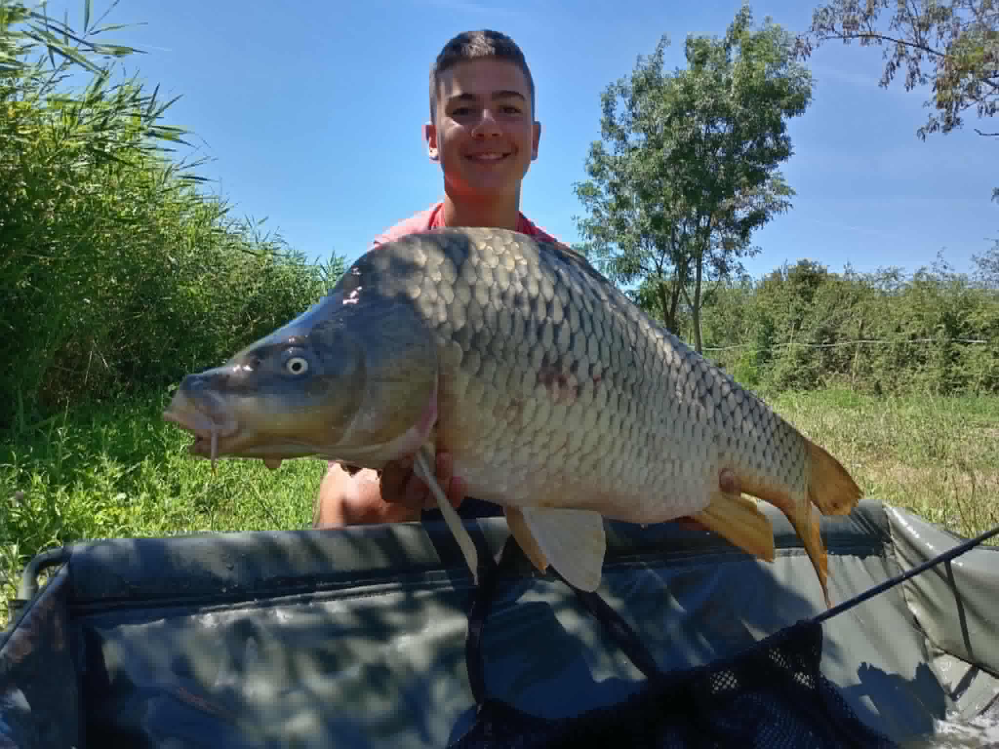 16kg