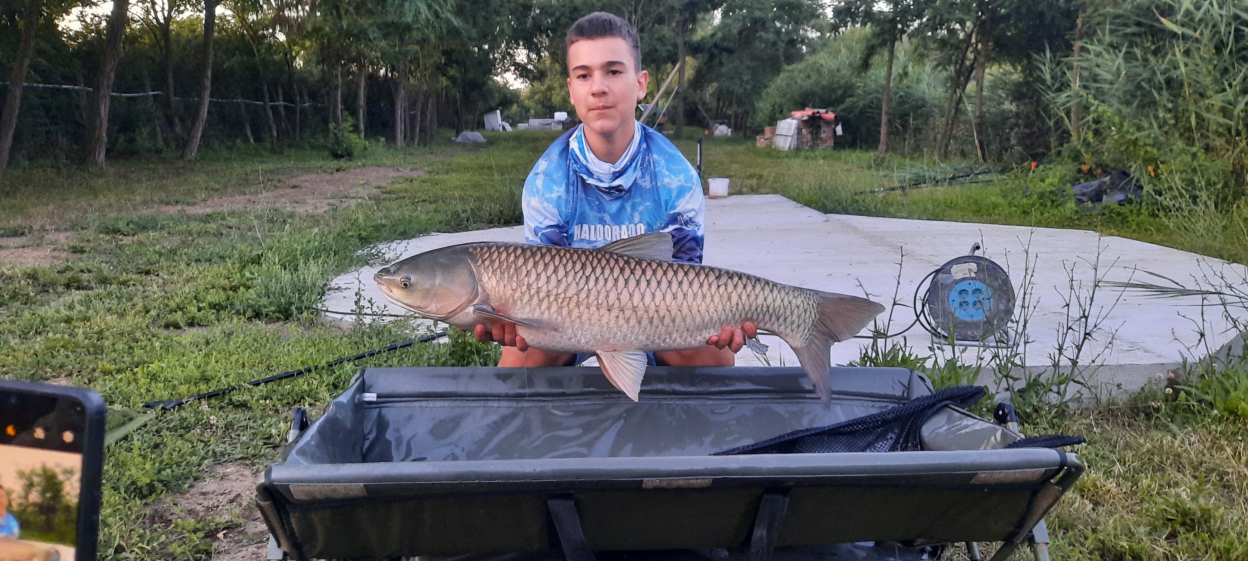 15kg